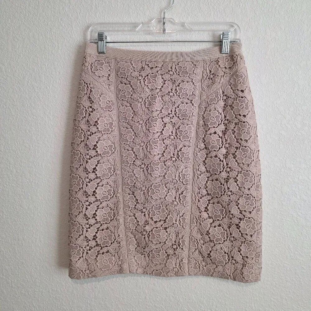 Ann Taylor Lace Panel Pencil Skirt Sz 4